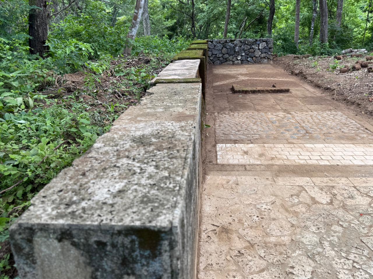 1-Jul-22-2025-05-20-42-1519-PM