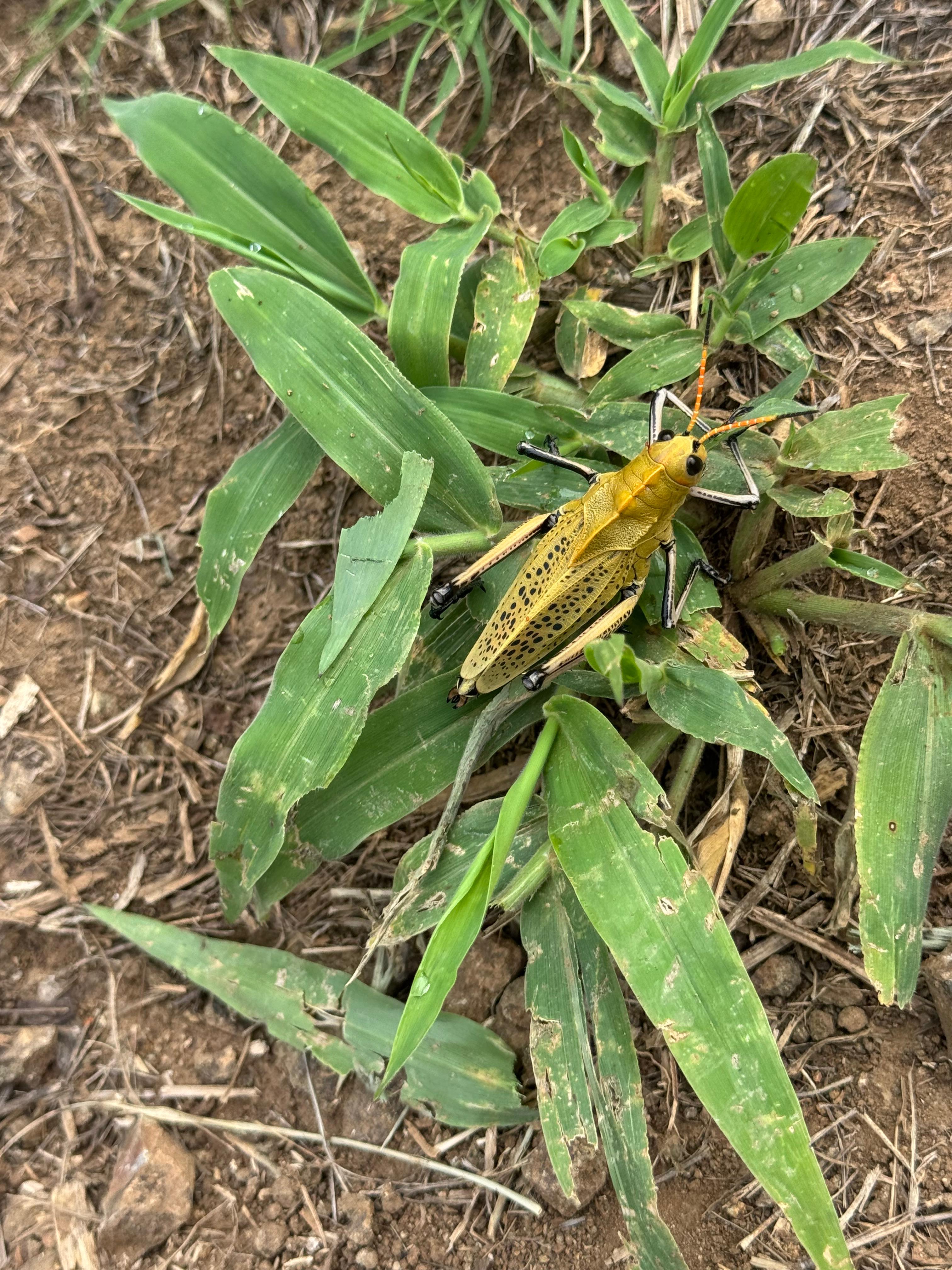 3-Aug-11-2025-10-09-50-8183-PM