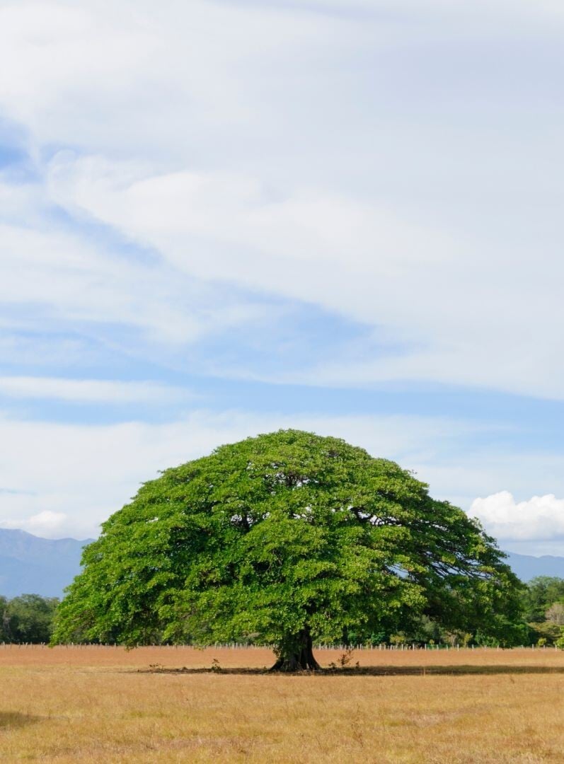 5-Feb-17-2026-03-56-29-6969-PM