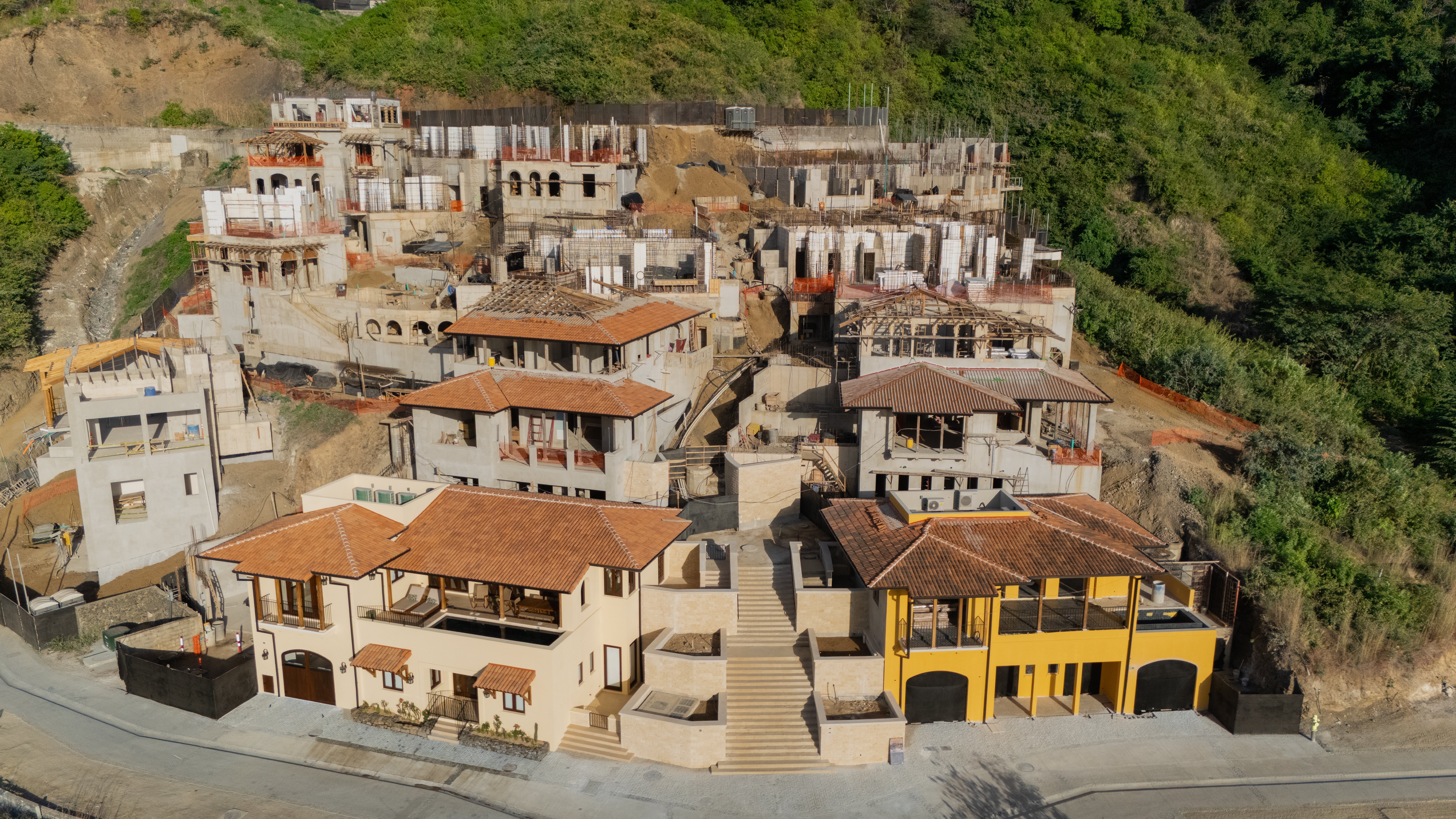 Copia de Lantana A  (2)