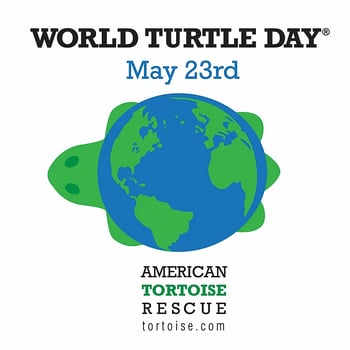 World Turtle DayÂ®