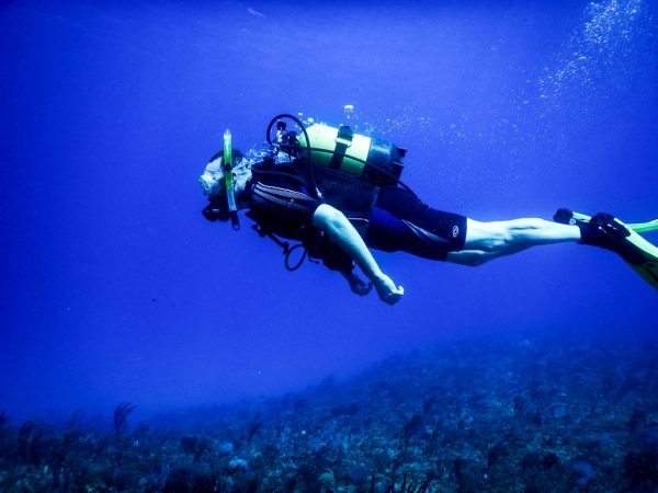 Divemaster, PADI Certifications, Scuba Dive in Costa Rica