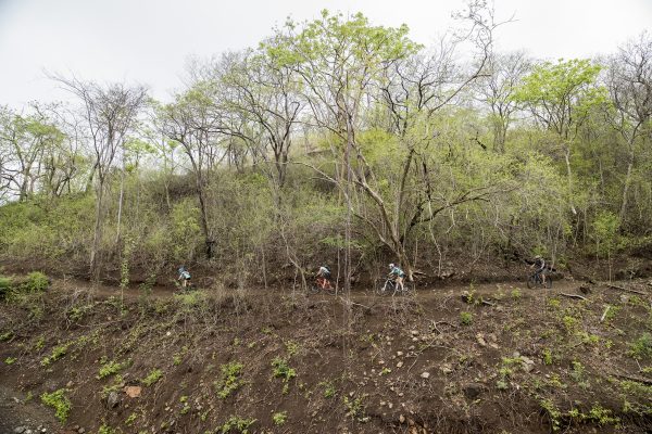 Mountain Biking Trails, Single Track Trails, Family Mountain Biking