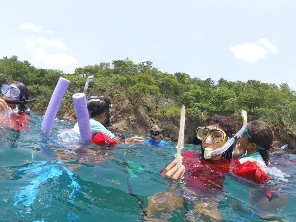 Snorkeling in Costa Rica, Dive Costa RIca, Diving in Costa Rica