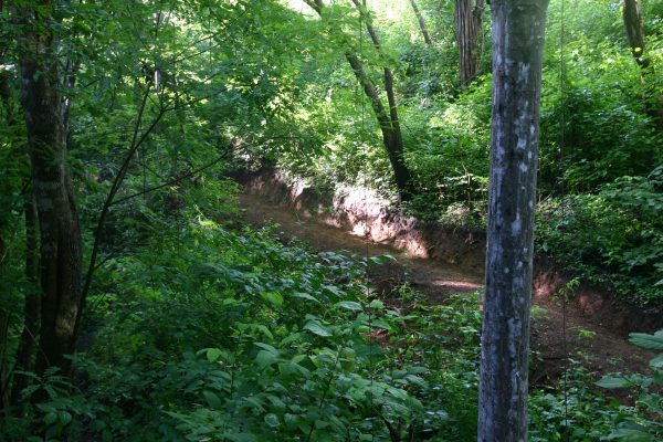 Single Track Trails, Mountain Biking Trails, Creating Trails