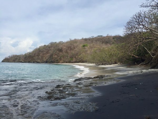 Playa Dantita 2019