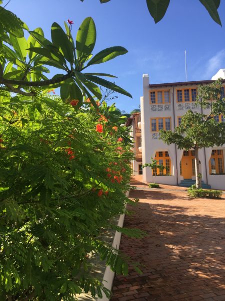 Flowers of Plaza Central