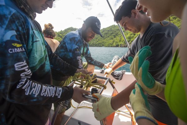 Discover Scuba Diving, Diving in Costa Rica, Learn to Scuba
