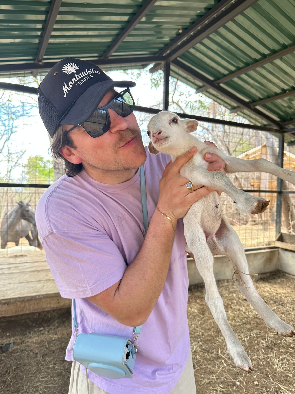 Rainbow - La Estancia