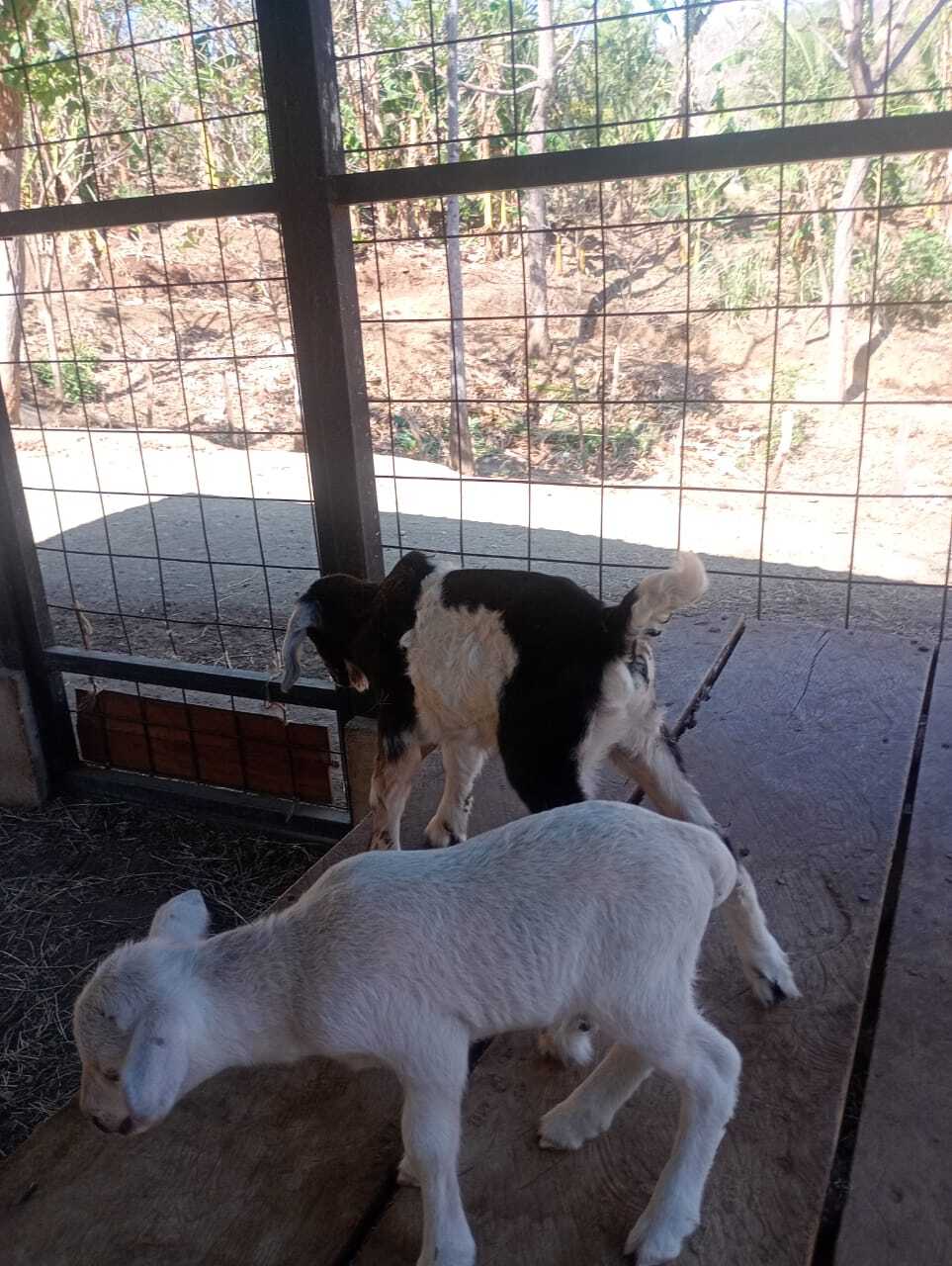 WhatsApp Image 2026-04-19 at 2.41.05 PM (1)