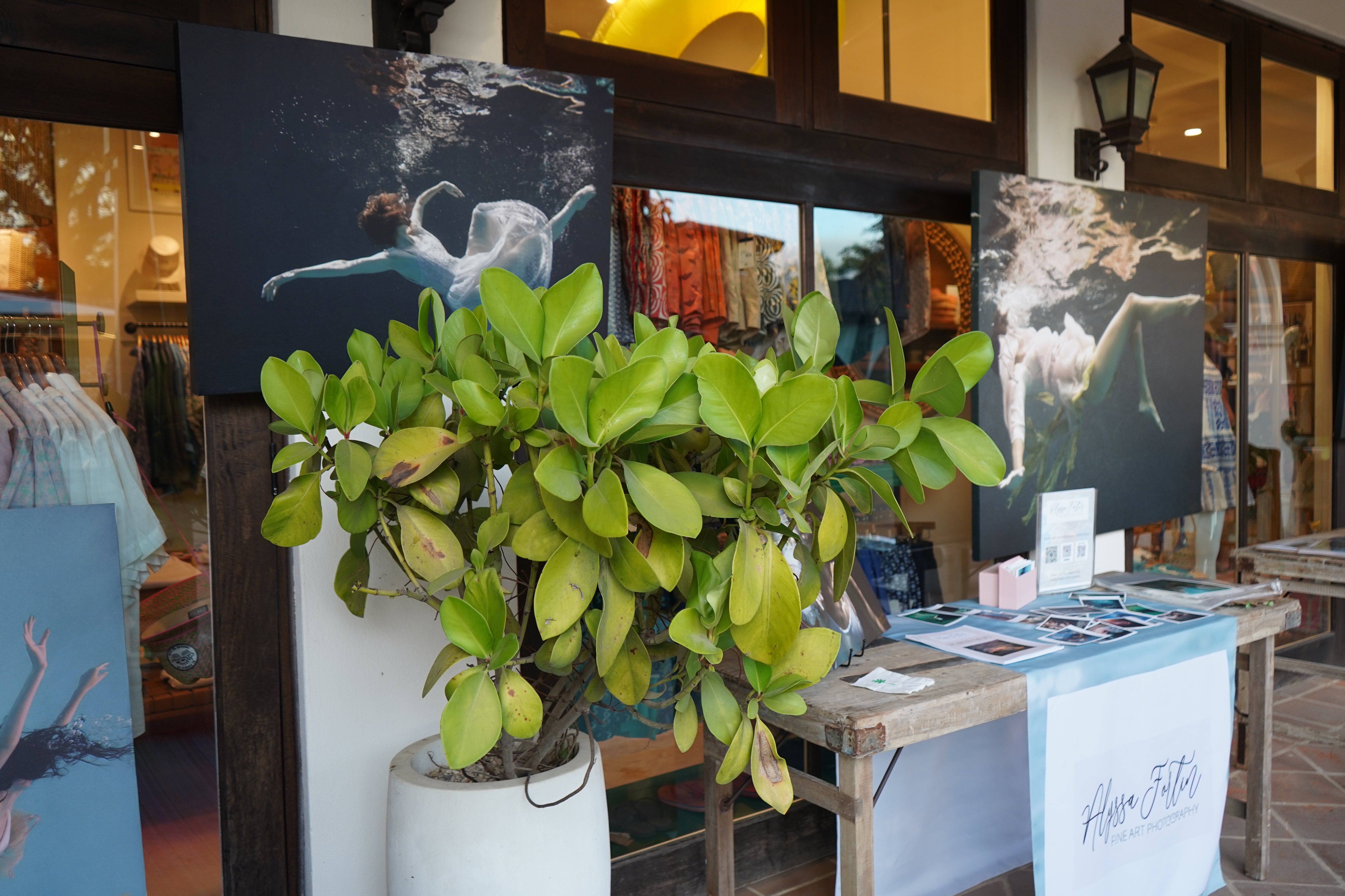 allysa fortin photography