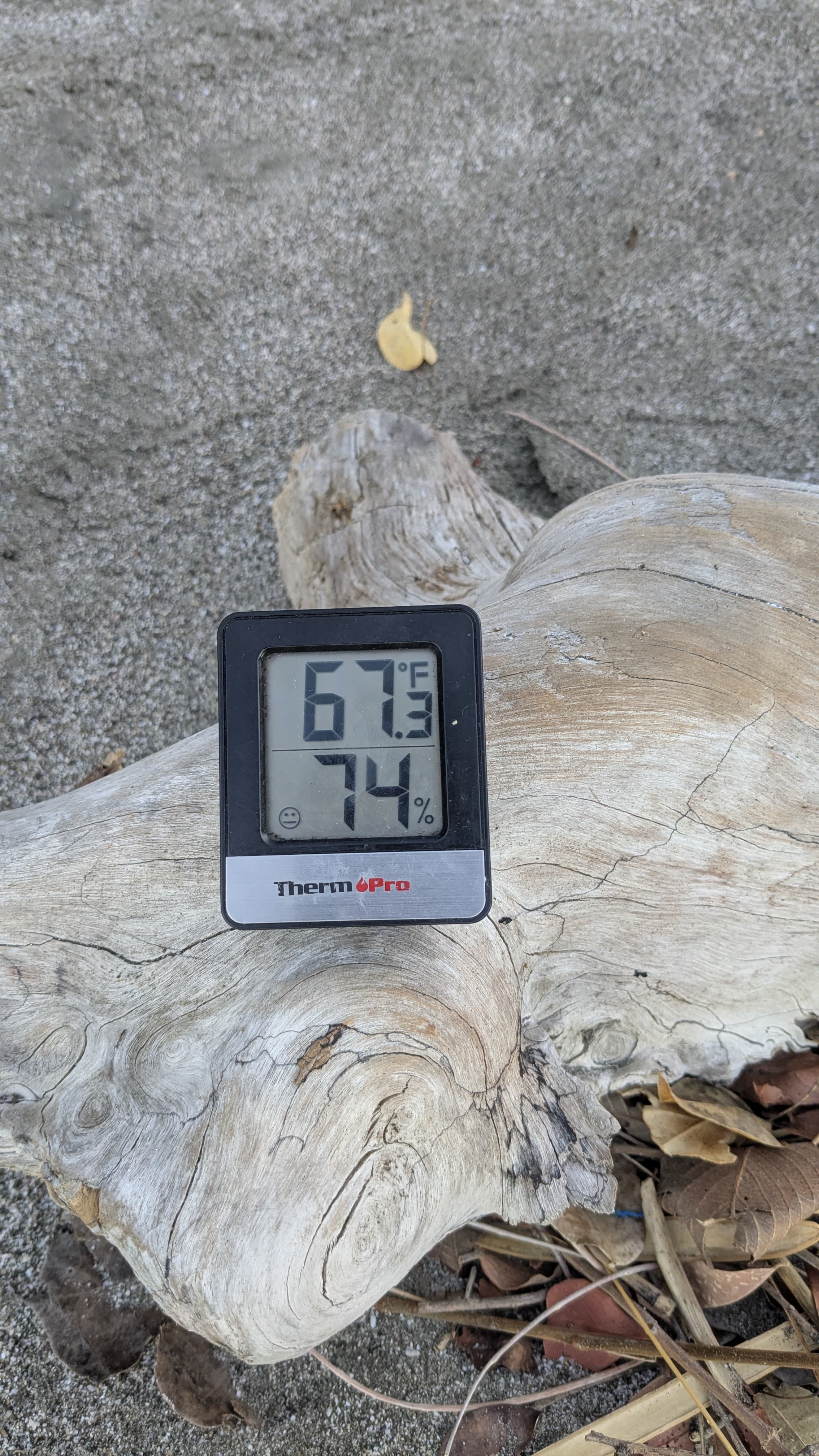 cold morning in Town