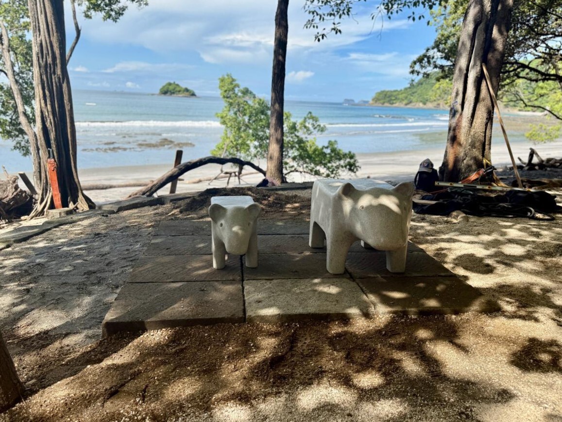 dantas playa danta-1