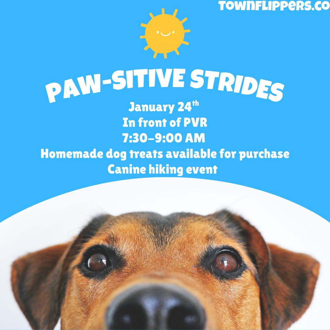 paw-sitive strides