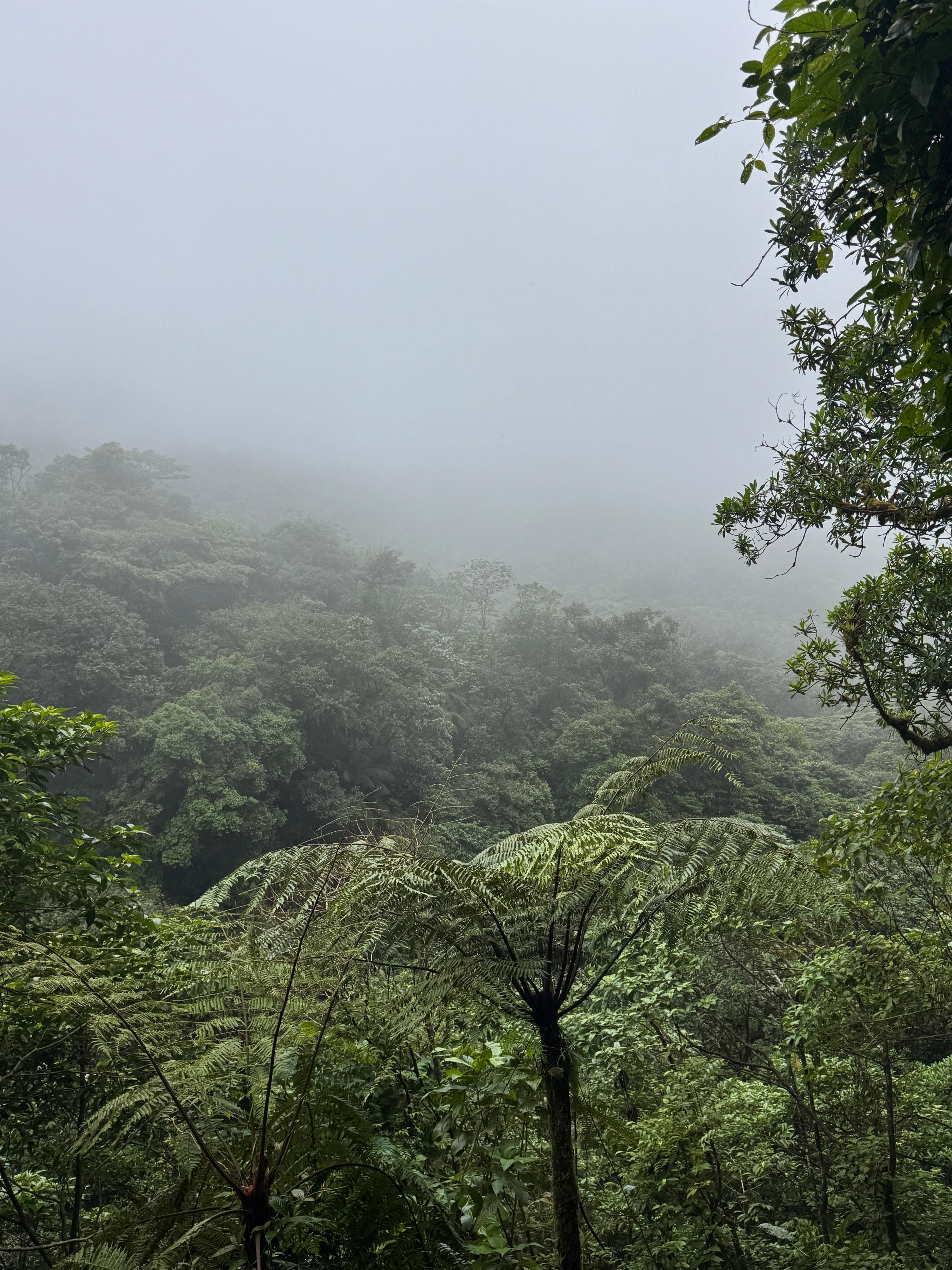 rio celeste 1